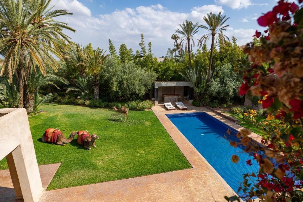 Villa Sahar Palmeraie Avec Piscine Chauffee ! Marrakesh Ngoại thất bức ảnh